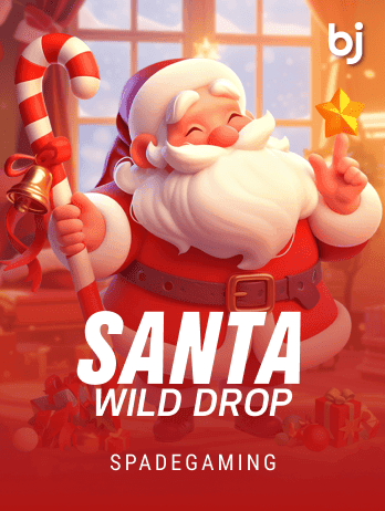 Santa Wild Dropping screenshot